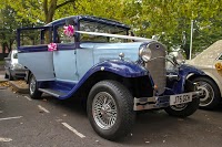 Magical Weddings and Events 1078449 Image 4